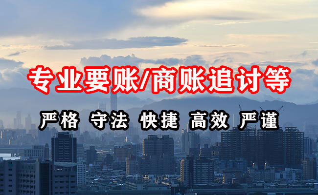 惠民清债公司